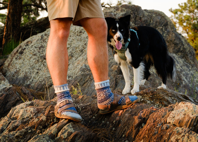 Azure Crew Socks